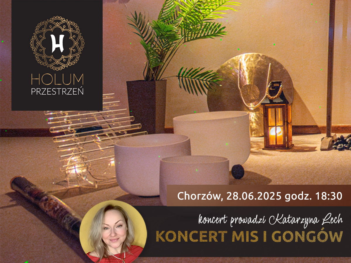 Koncert dźwięku w Chorzowie - śląsk