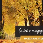 Autumn park with yellow and orange leaves